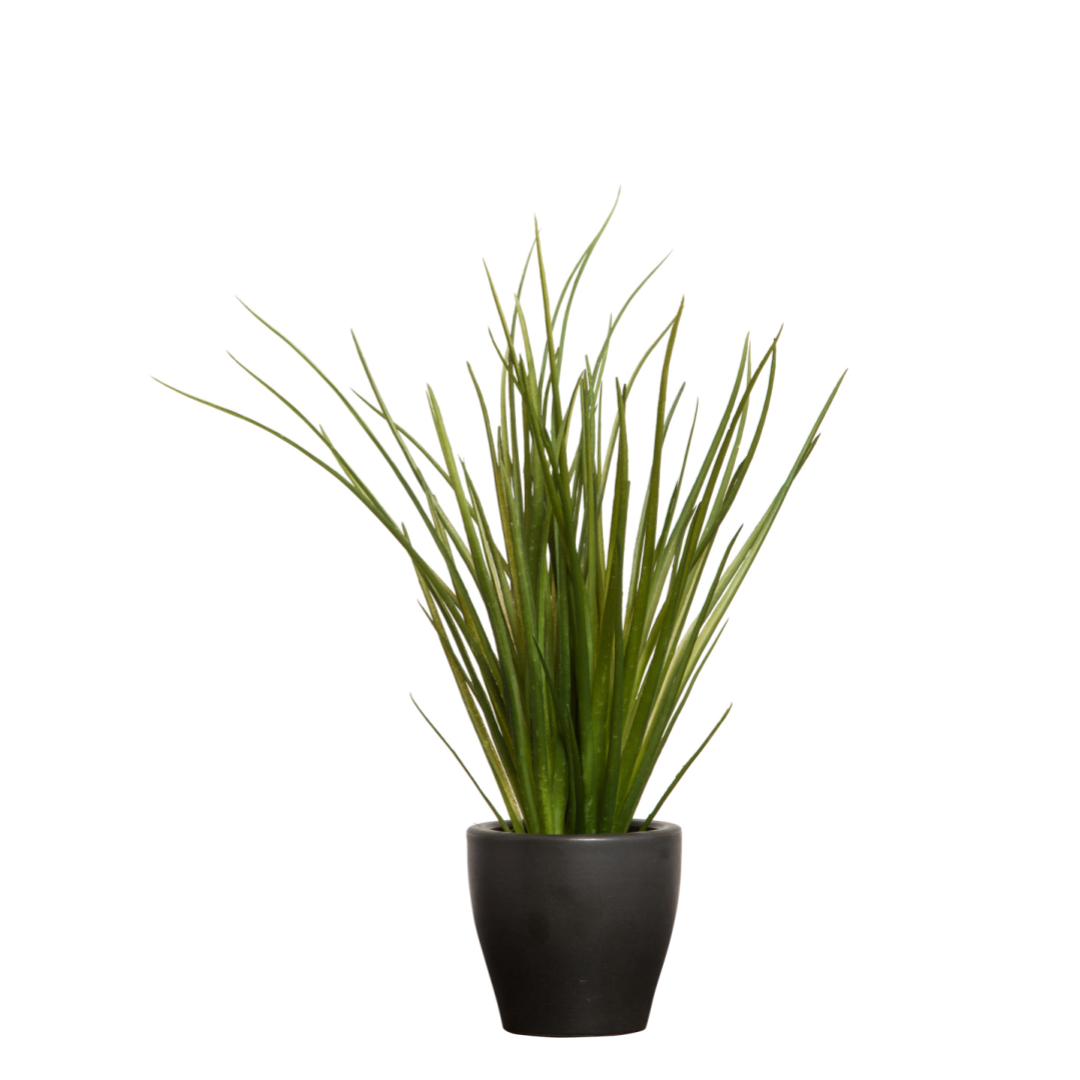 Artificial grass plant in black ceramic pot on white background