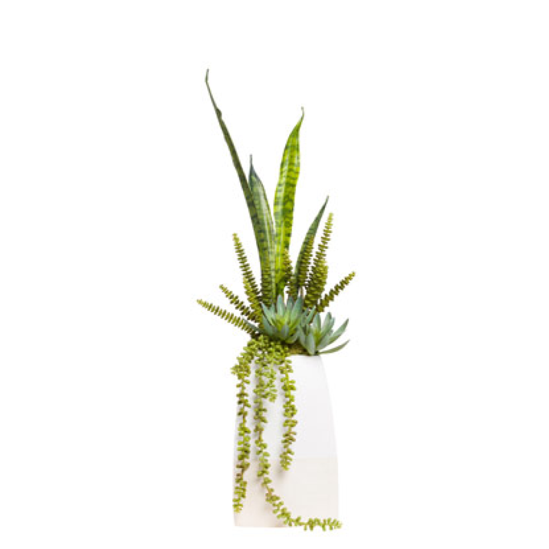 Artificial snake plant, ferns, and succulents in a modern white planter, isolated on white