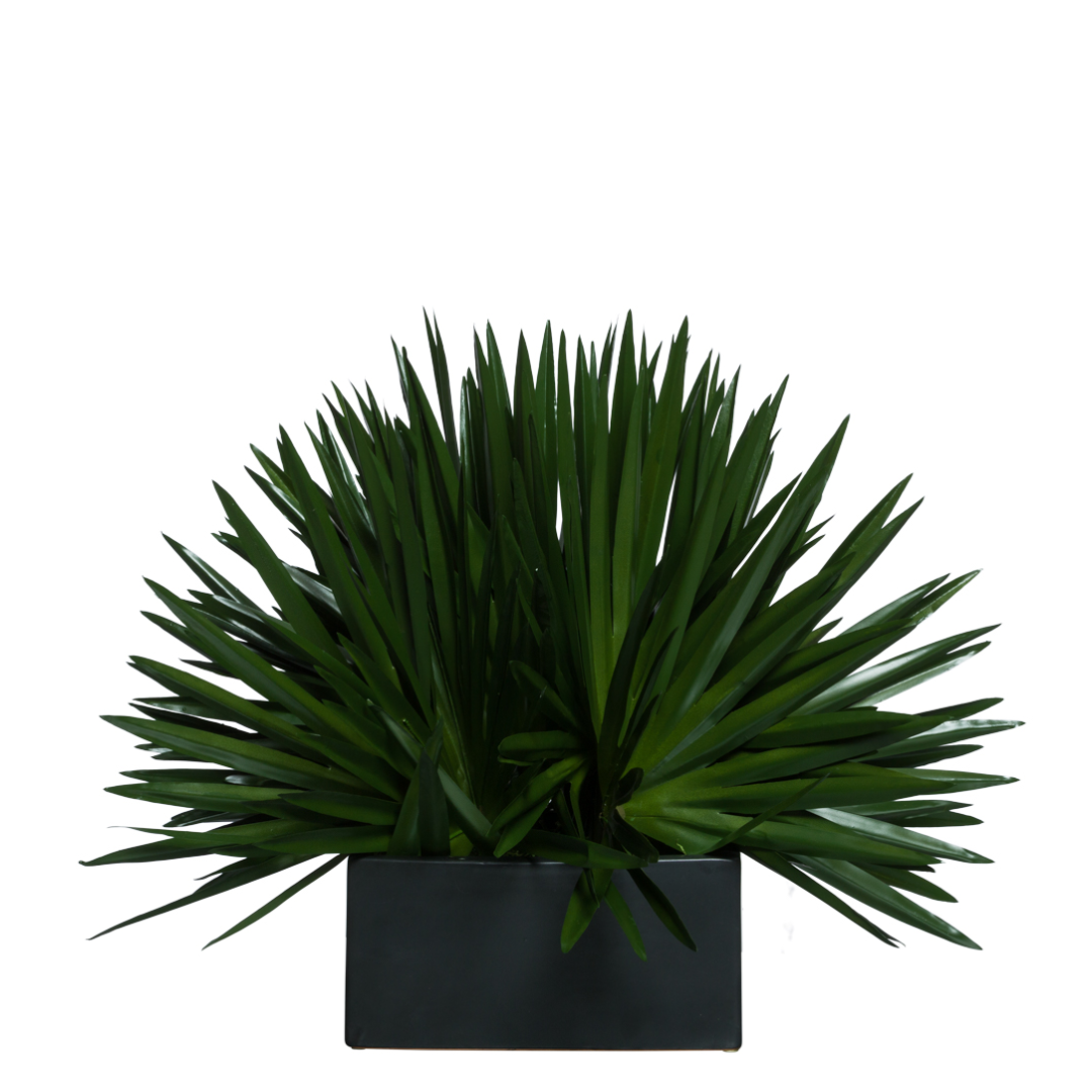 Artificial spiky green plant in a modern black rectangular planter, isolated on white background