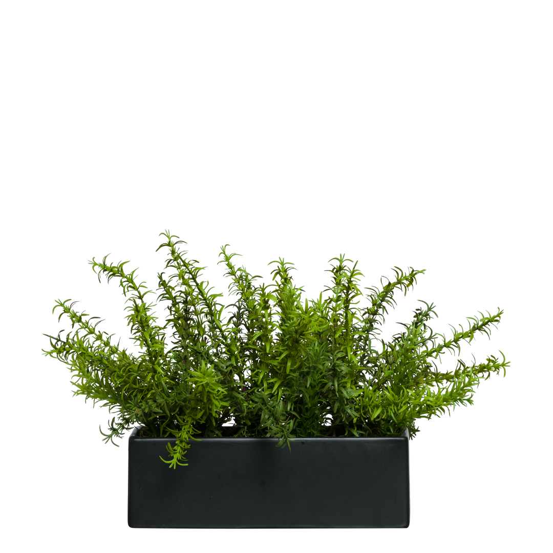 Artificial green plant in a rectangular black planter on white background
