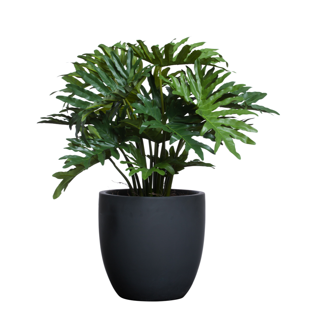 Artificial philodendron plant with broad green leaves in a modern black pot