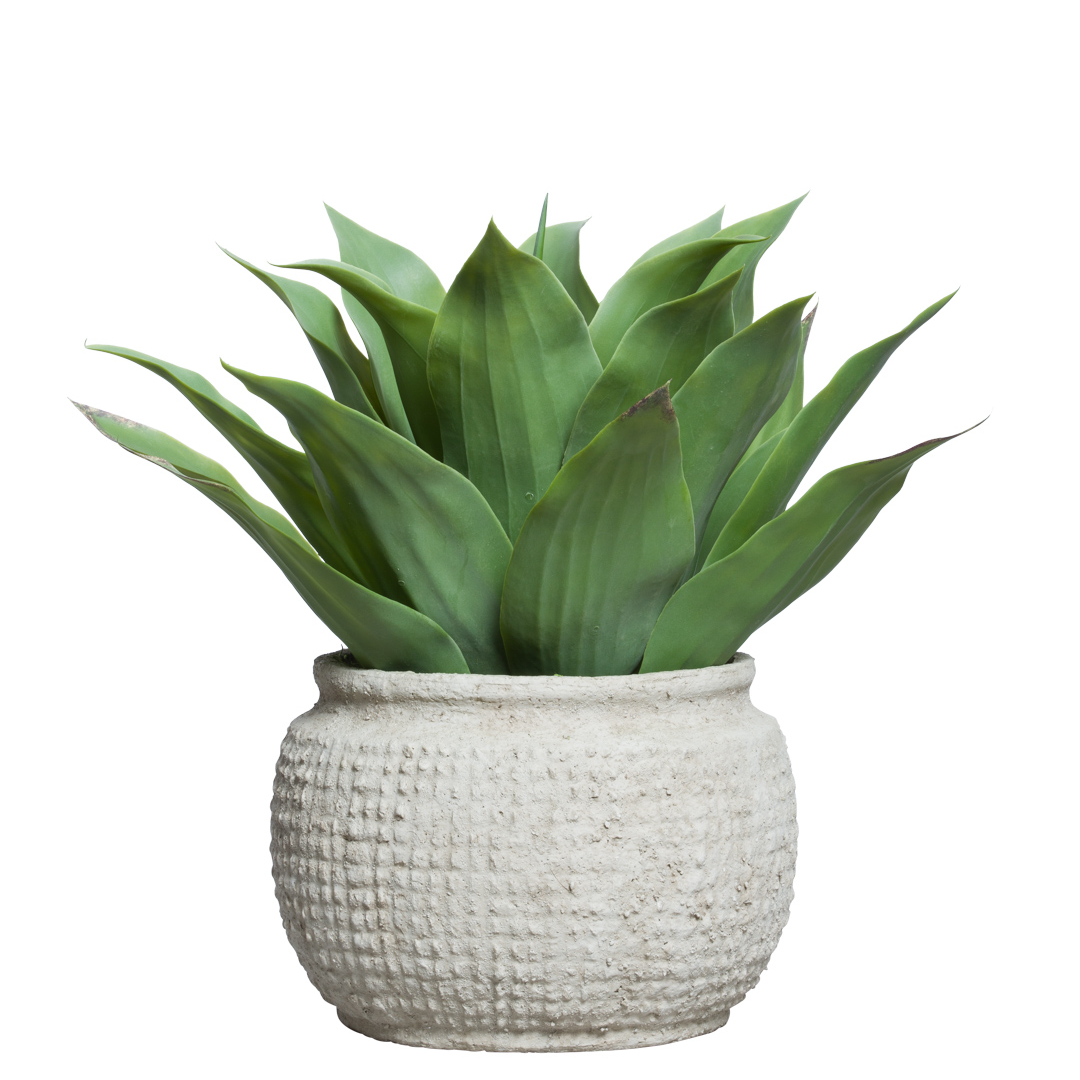 Realistic artificial succulent plant in textured white pot on white background