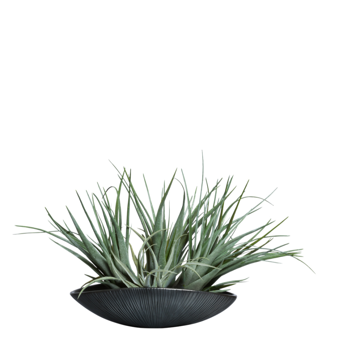 Artificial grass plant in modern black bowl, realistic decorative greenery arrangement