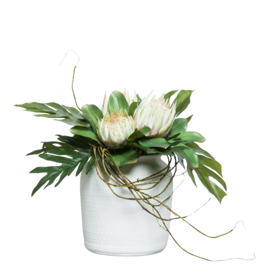 Artificial protea flowers with green leaves in a white textured ceramic pot