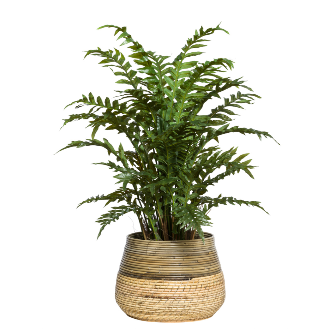 Lush artificial fern plant in a woven basket planter on white background
