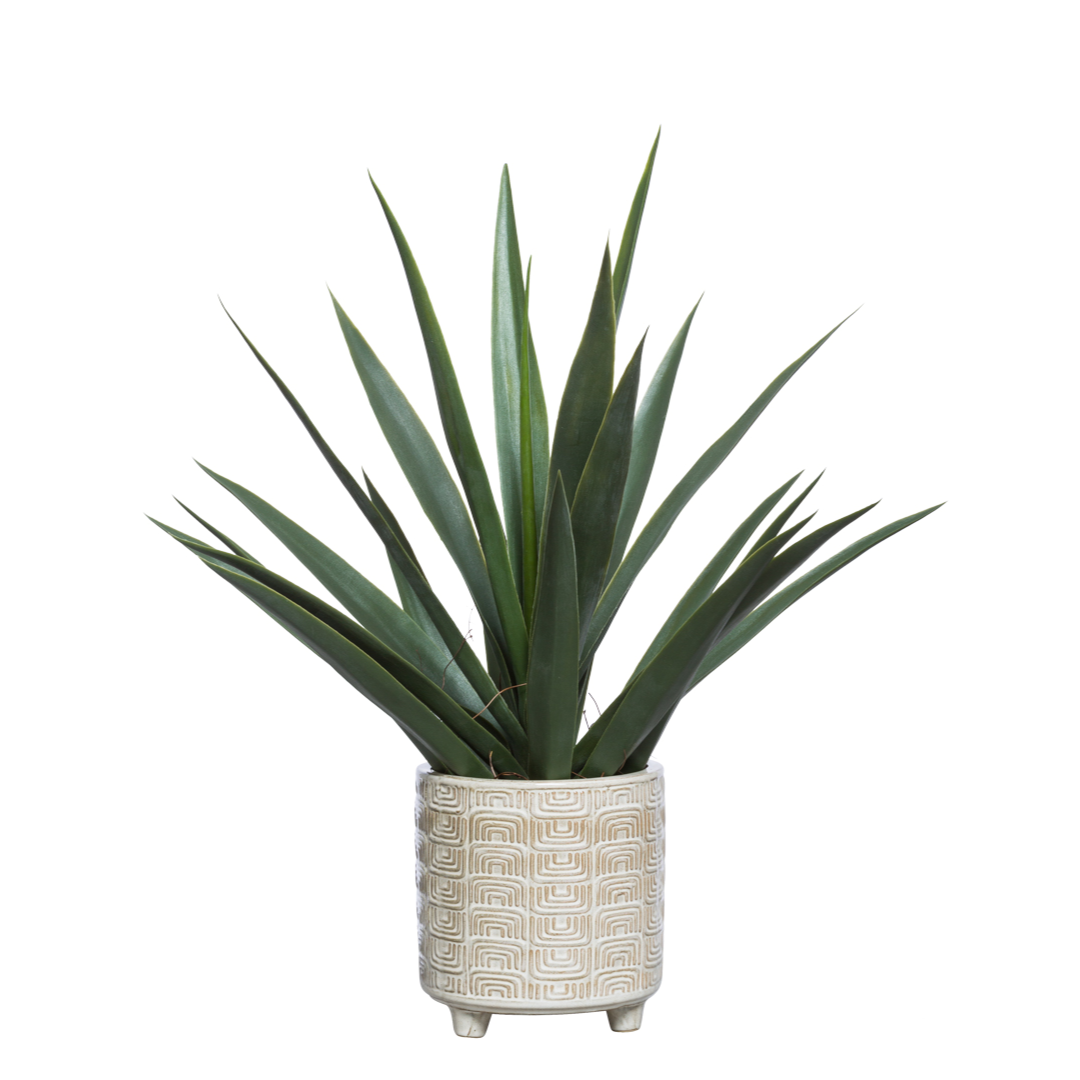 Realistic artificial agave plant in a textured ceramic pot on a white background