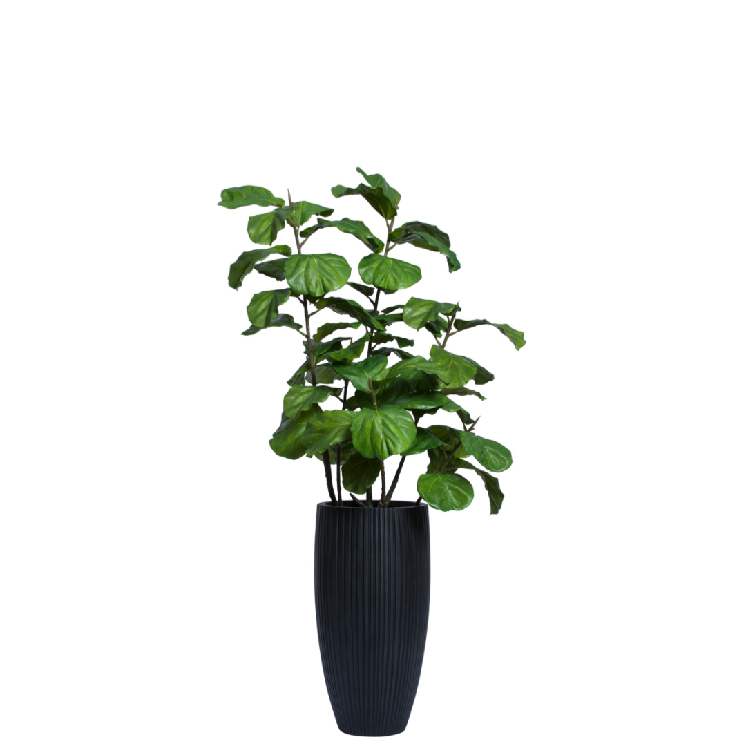 Artificial fiddle leaf fig plant in tall black ribbed planter on white background