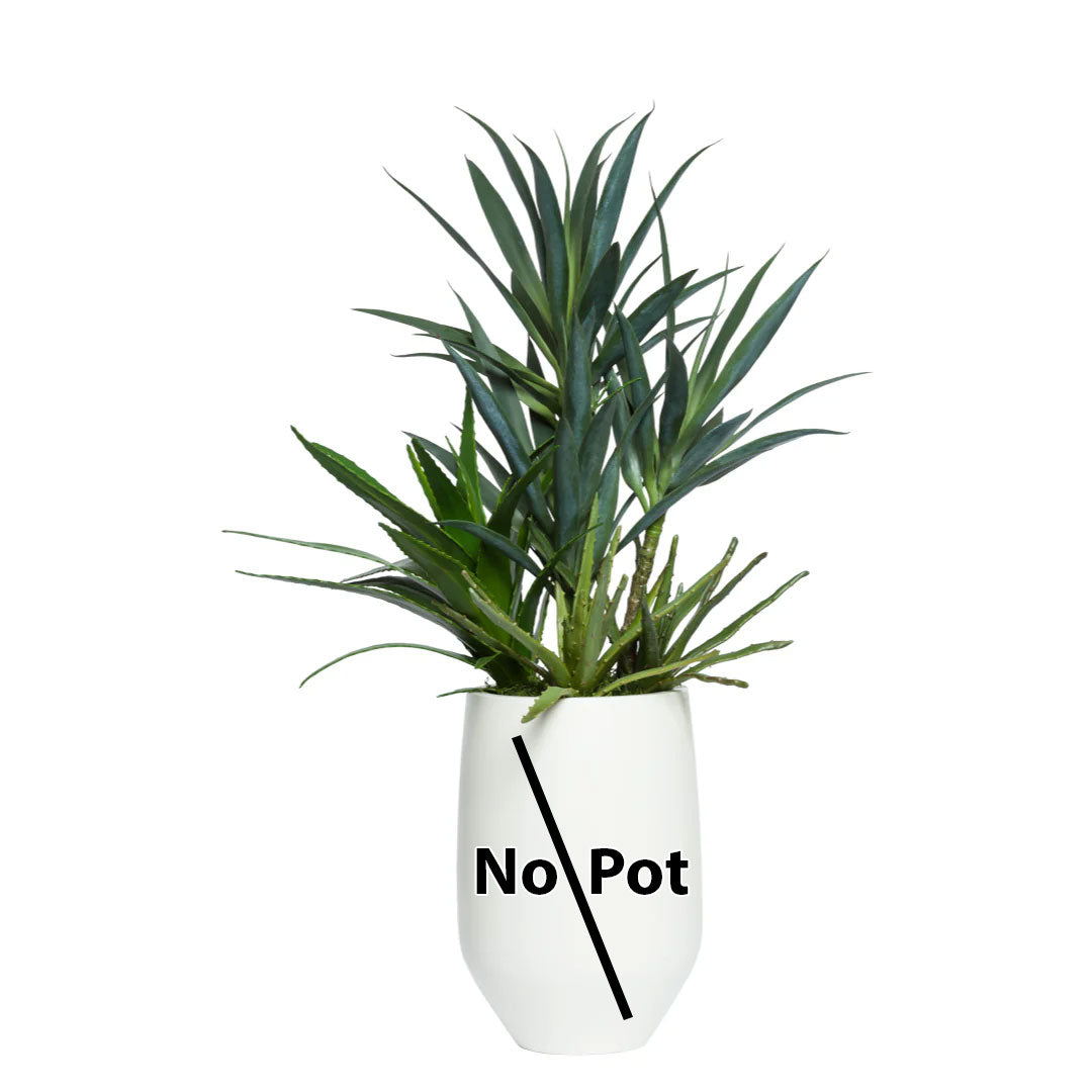 Artificial green plant with spiky leaves in a white container labeled 'No Pot' on white background