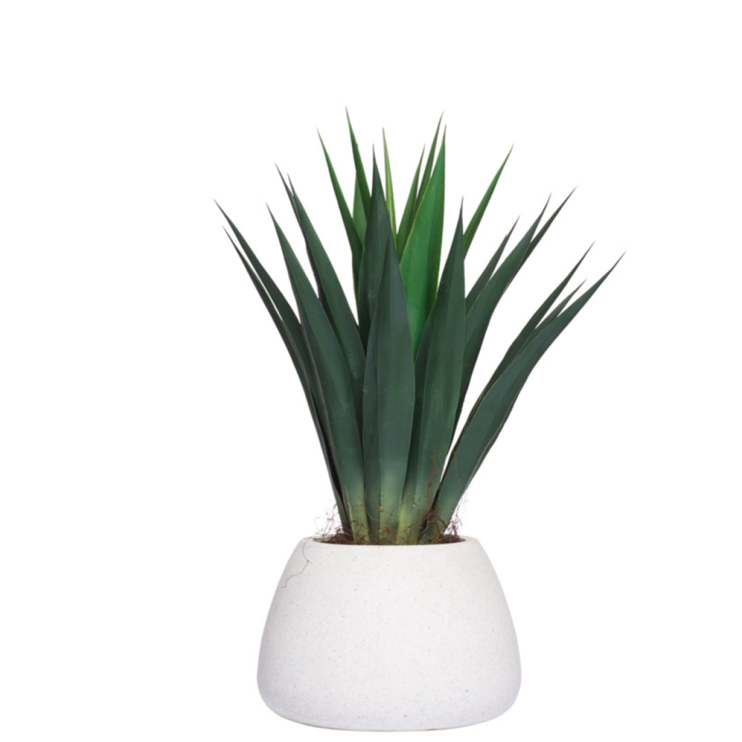 Realistic artificial agave plant in a modern white ceramic pot on white background