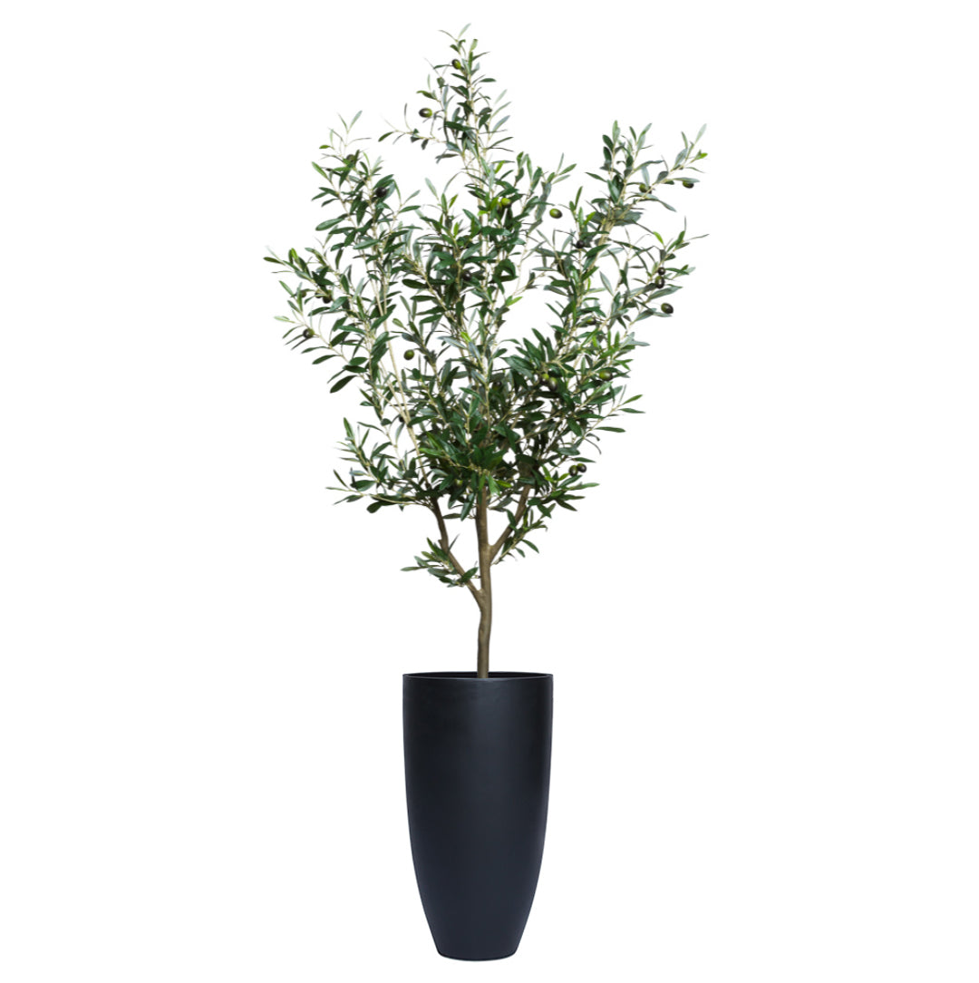 Tall artificial olive tree in a smooth black planter on a white background
