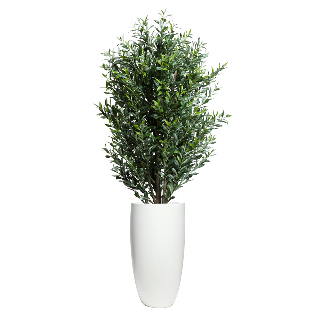 Artificial olive tree in tall white smooth planter on white background