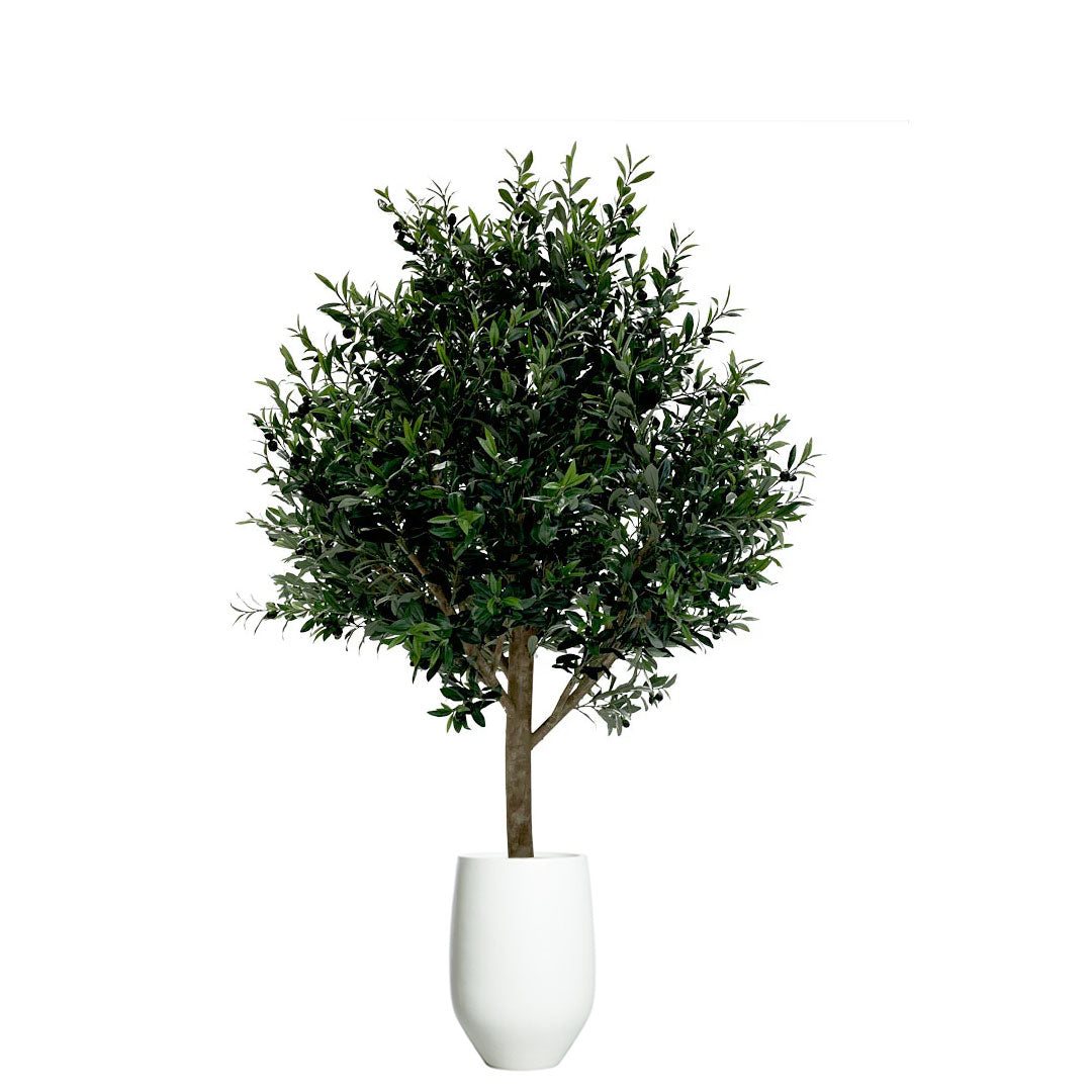 Artificial olive tree with dense green foliage in a modern white tapered planter