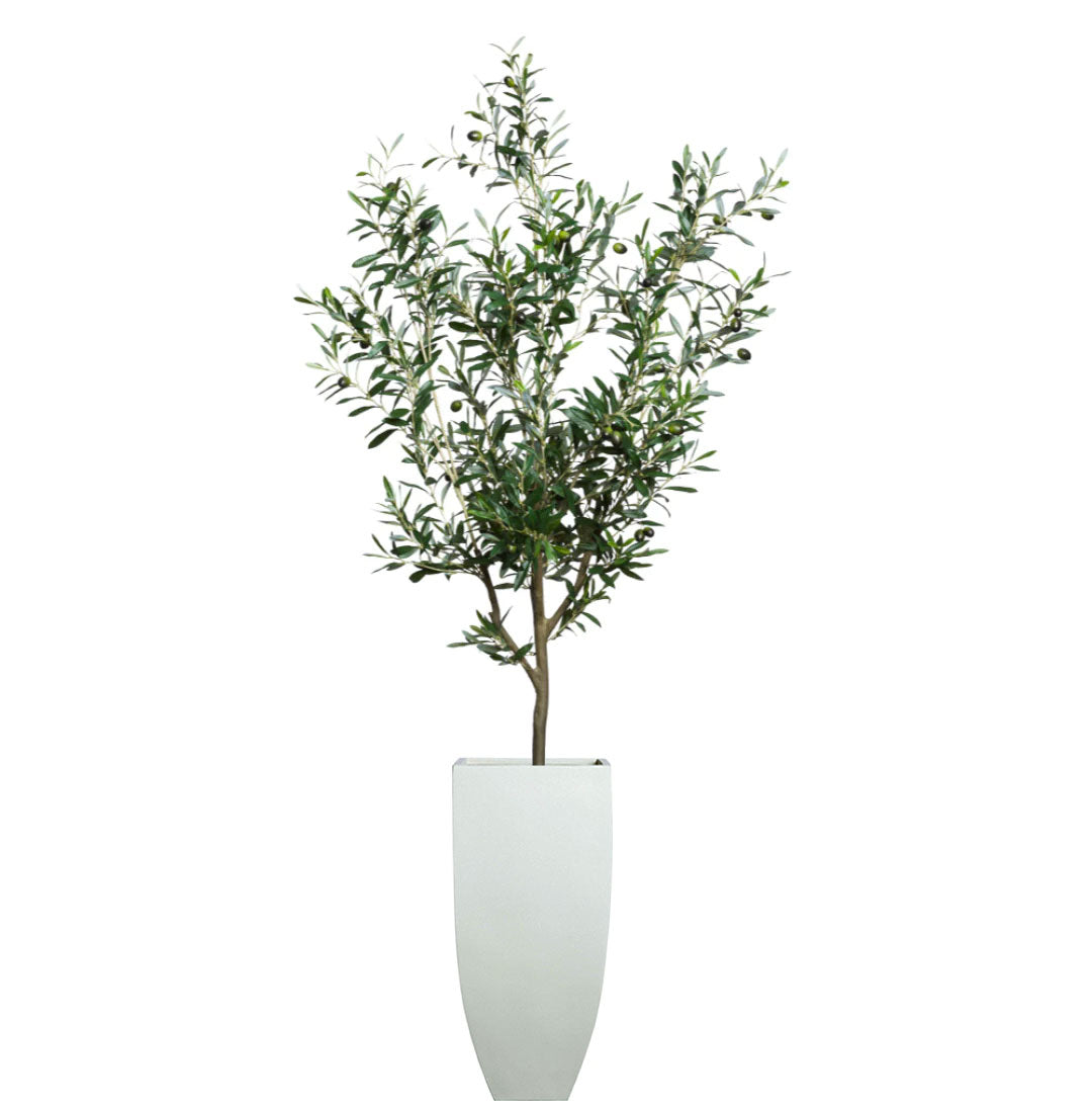 Artificial olive tree with green leaves and olives in a tall white planter on white background