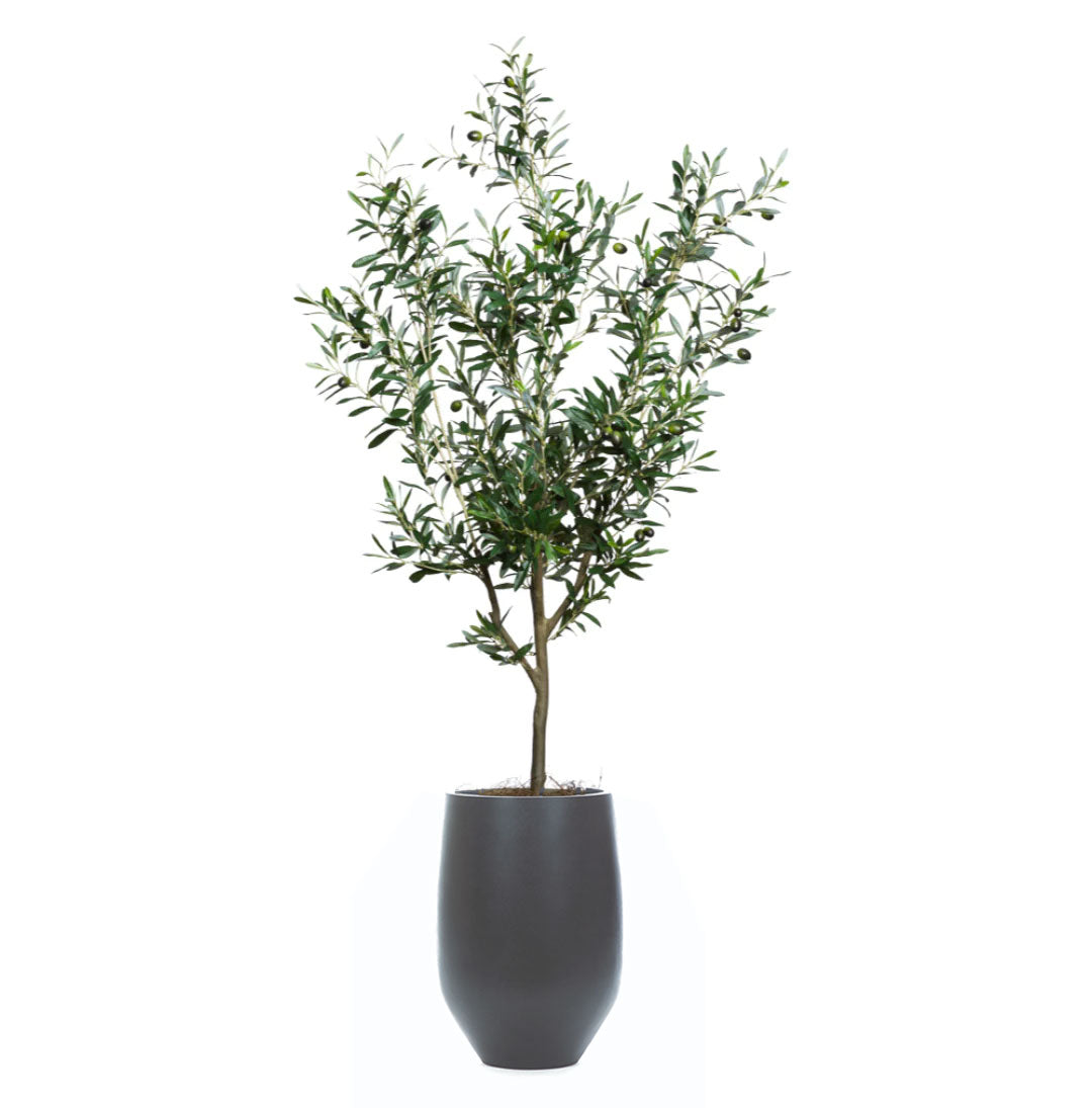 Artificial olive tree in tall black tapered planter with realistic green leaves and olives