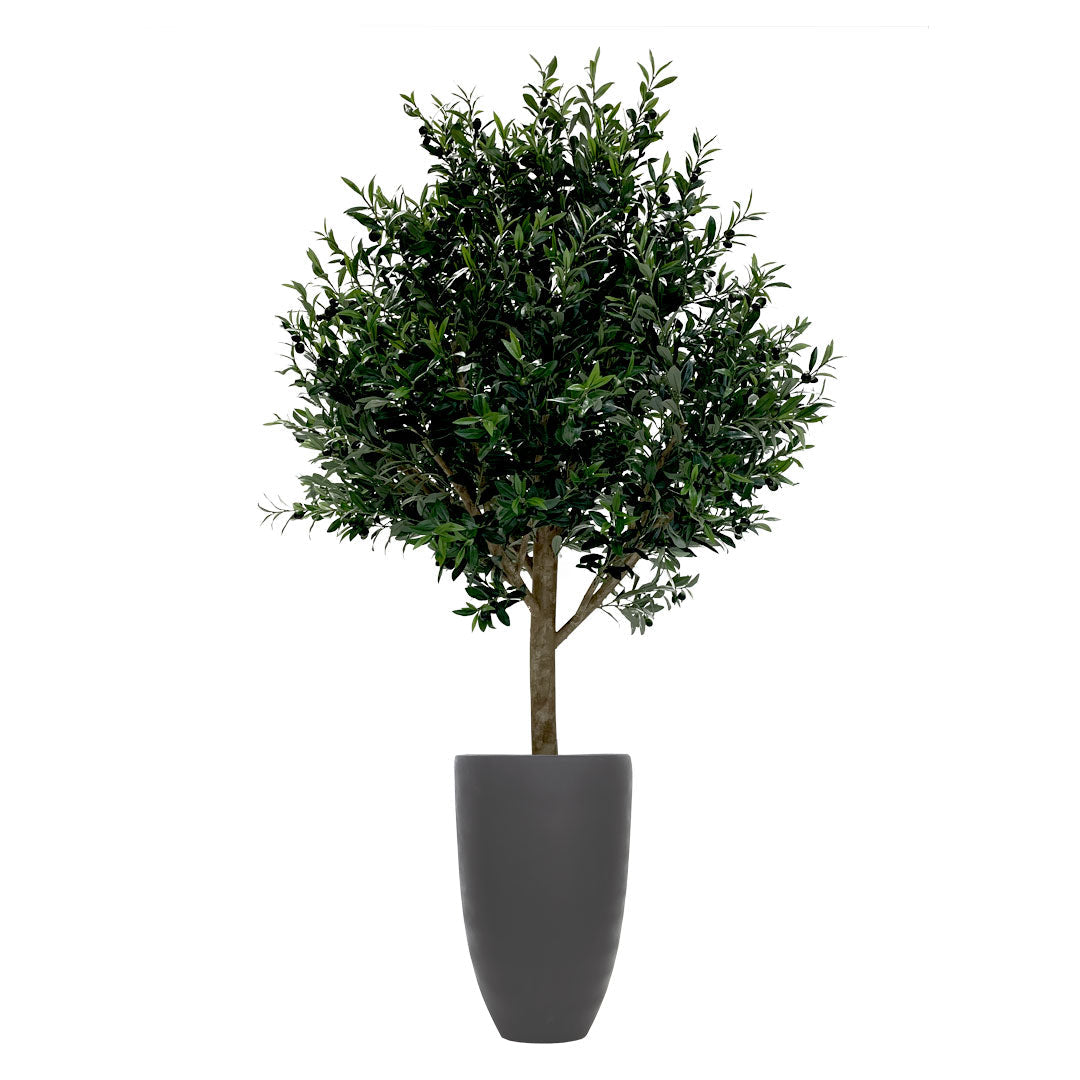 Artificial olive tree with lush green leaves in a tall black planter on white background
