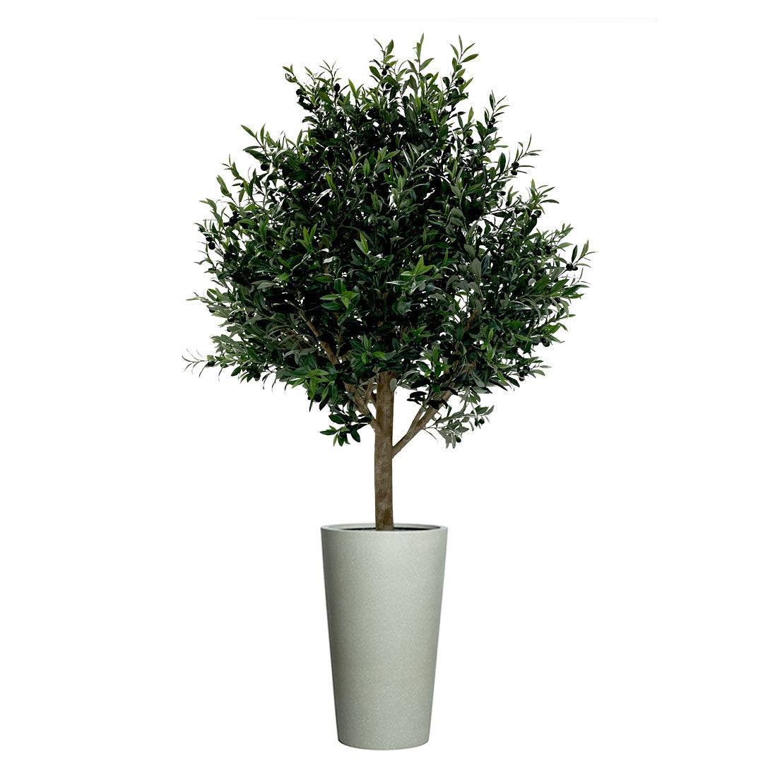 Artificial olive tree with lush green foliage in tall greystone planter, white background.