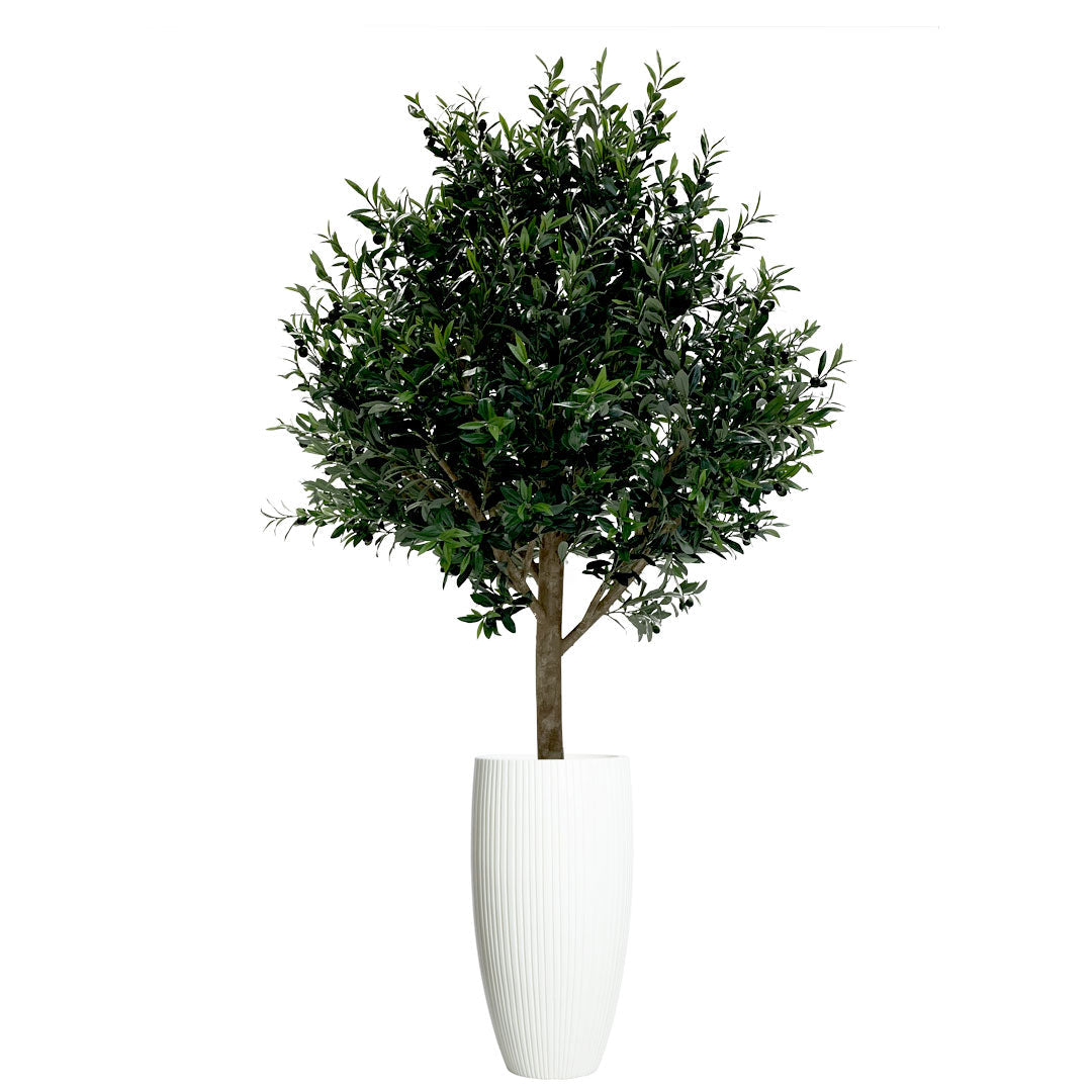 Deluxe artificial olive tree in tall white ribbed floor planter, realistic greenery decor