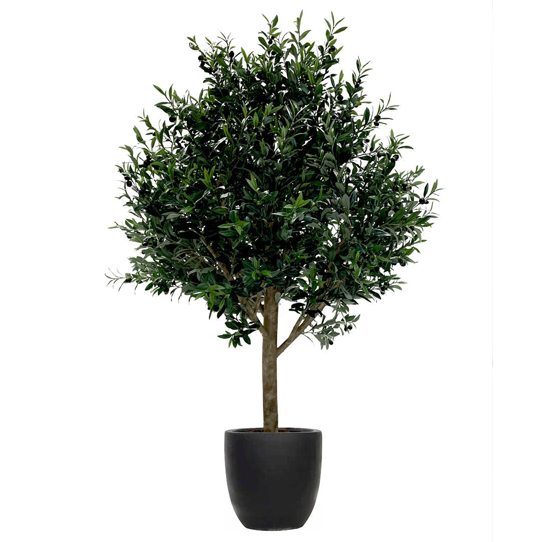 Artificial olive tree with dense green foliage in a black tapered pot on white background