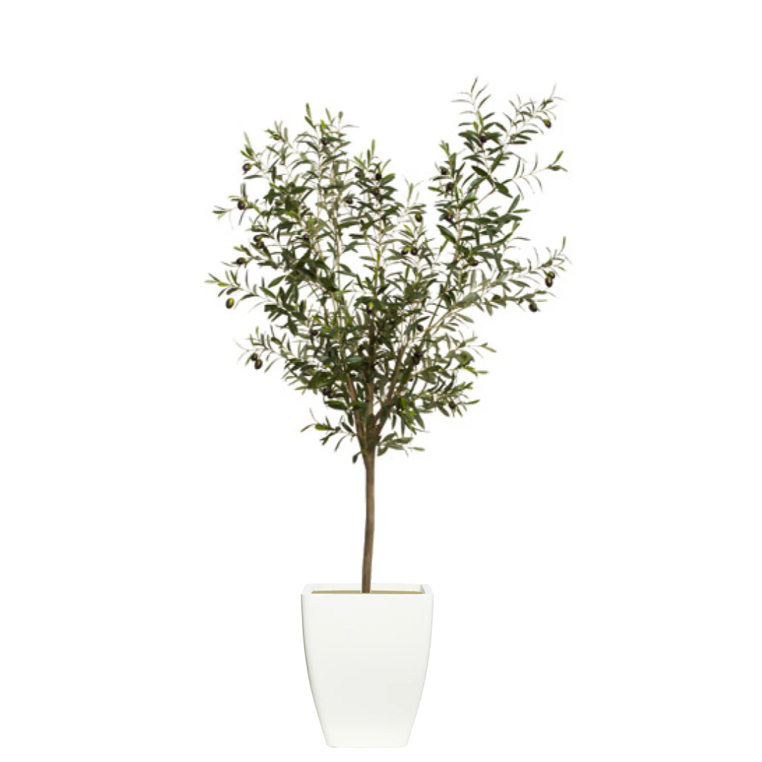 Artificial olive tree in white planter, realistic greenery, home decor accent