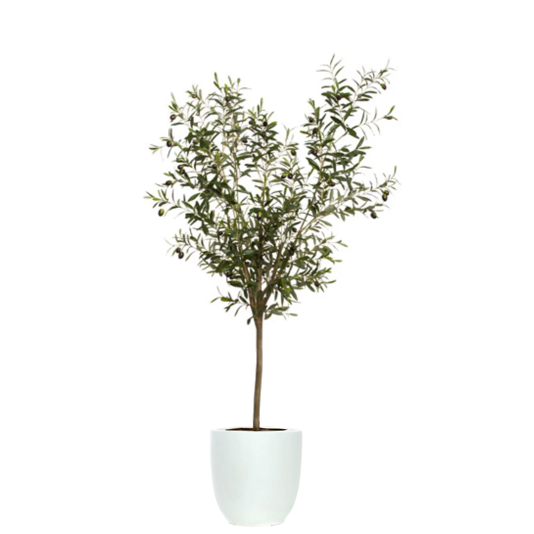 artificial olive tree with green leaves in a white tapered pot against a white background