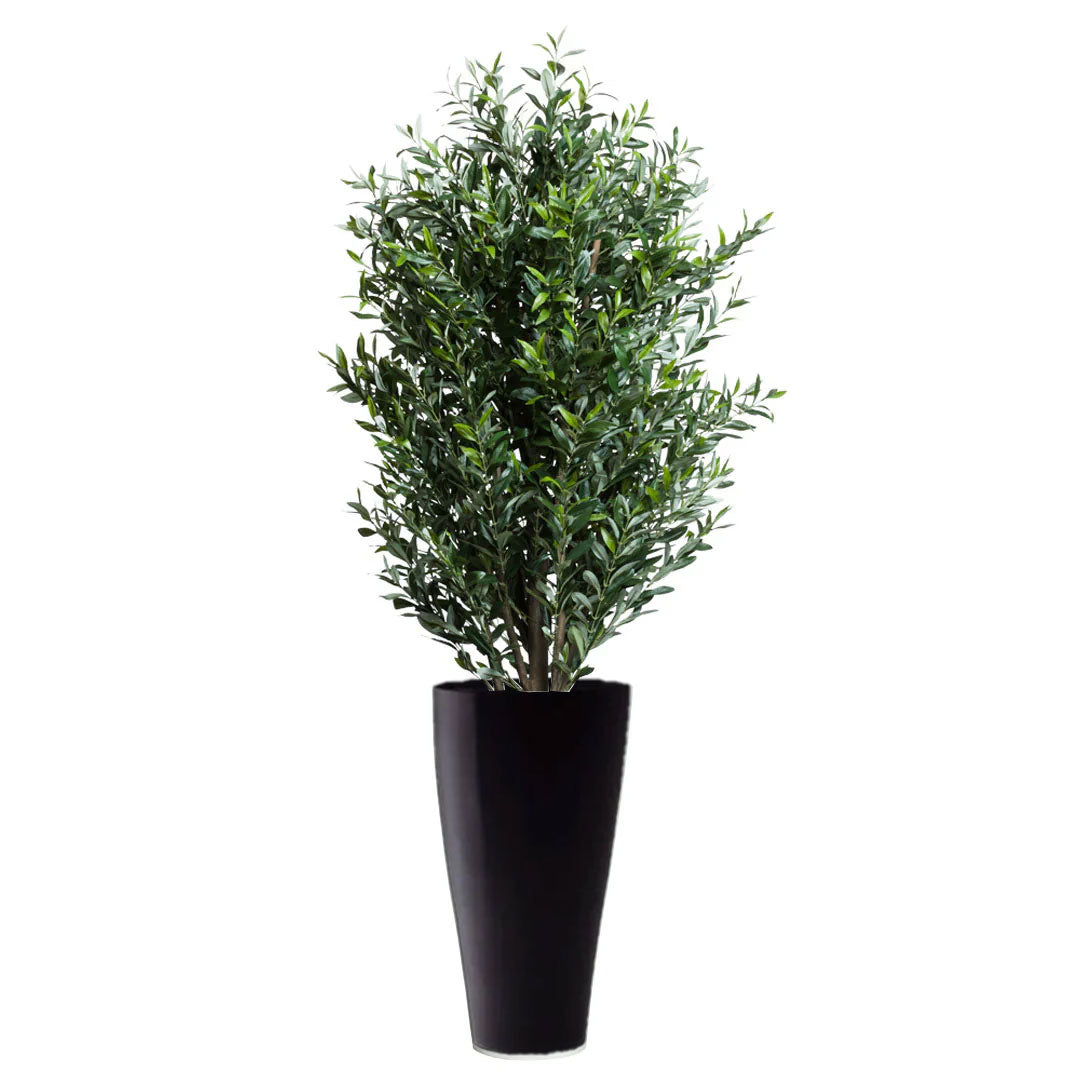 Artificial olive tree in tall black planter, realistic green foliage, isolated on white