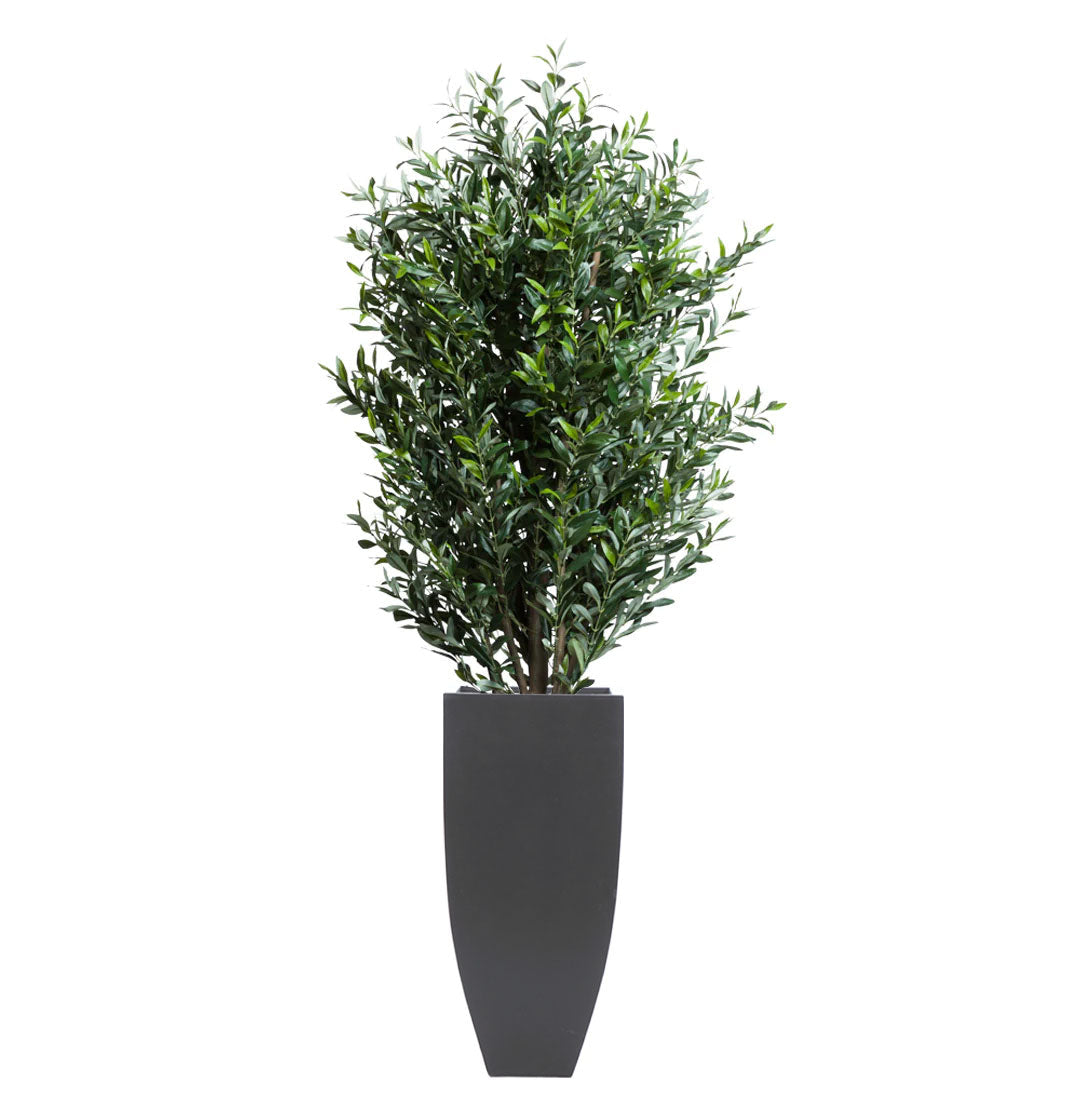 Artificial olive tree in tall modern black planter against white background