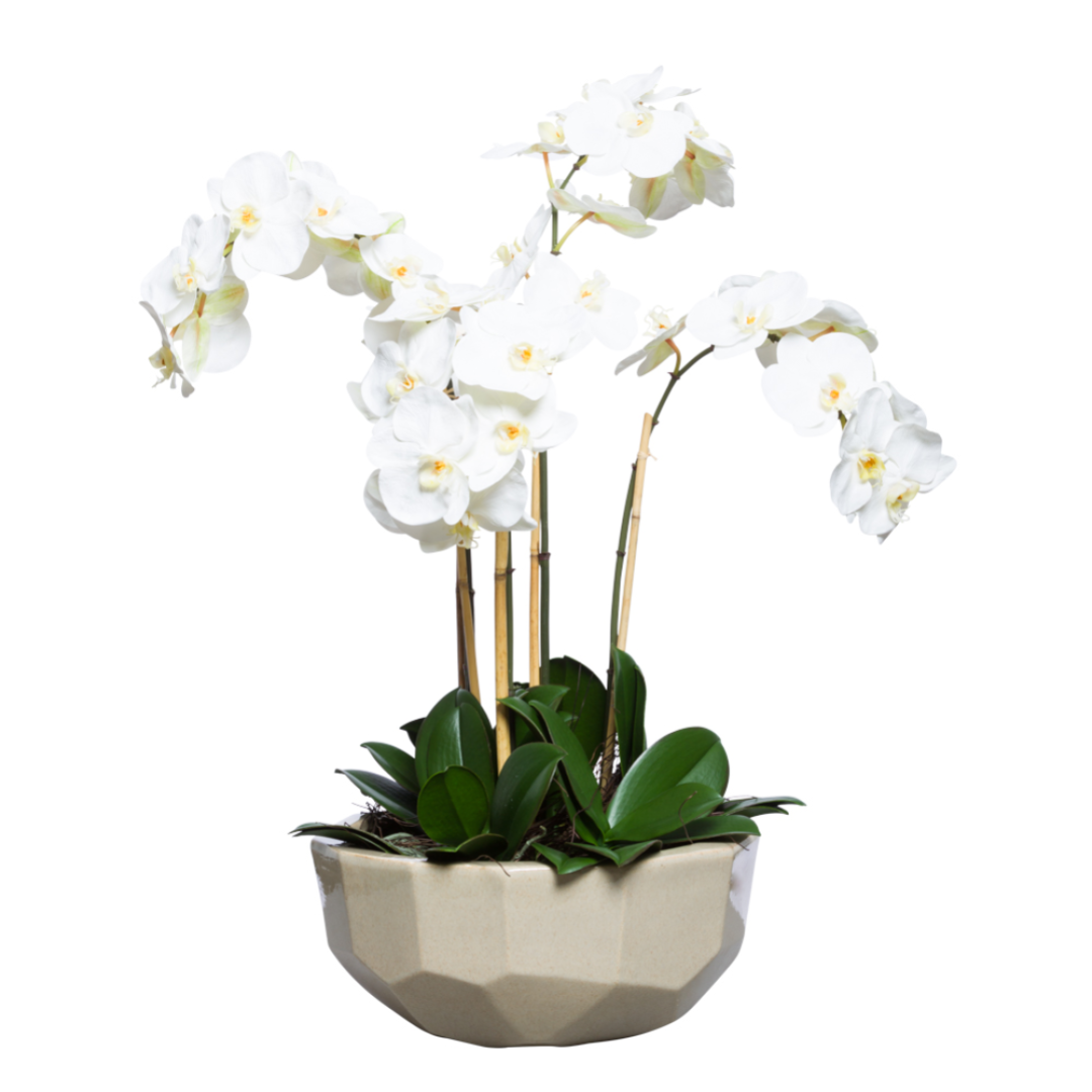 White Phalaenopsis orchid arrangement in a geometric beige ceramic pot, realistic artificial flowers