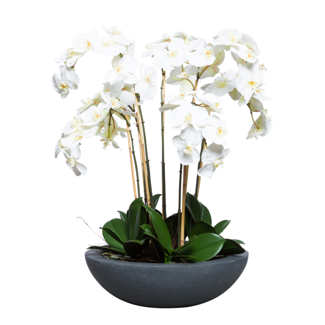 White artificial phalaenopsis orchid arrangement in a round black planter