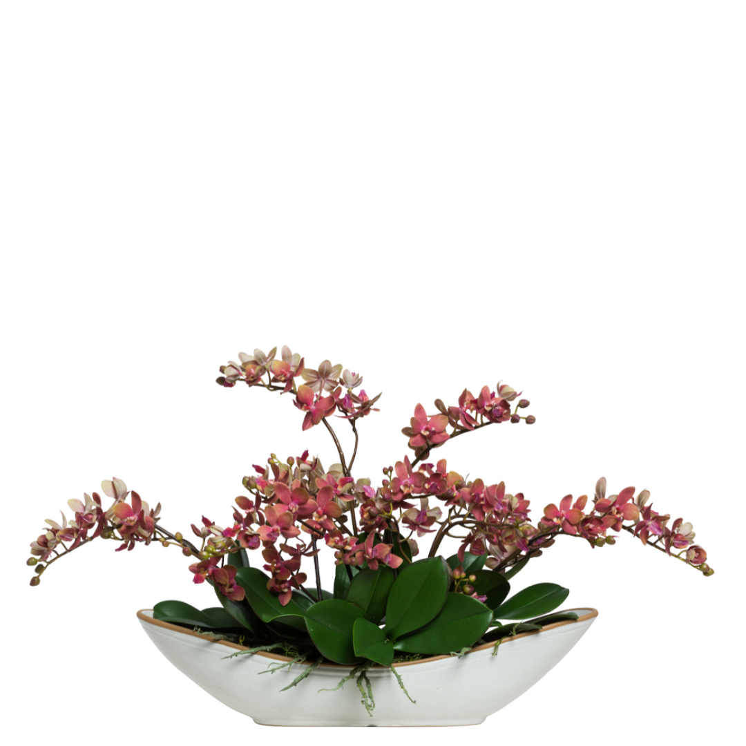 Realistic pink mini phalaenopsis orchid arrangement in white ceramic bowl