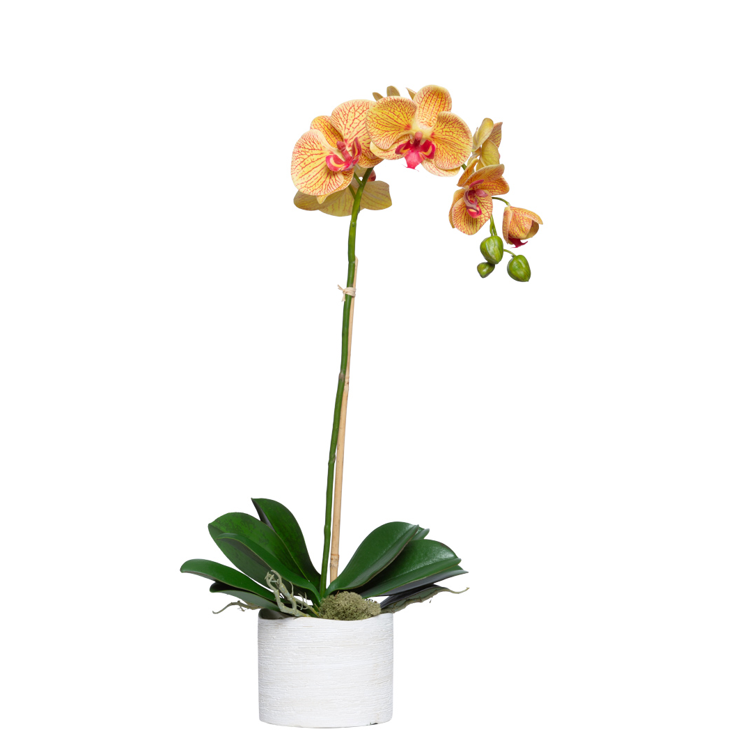 Artificial yellow Phalaenopsis orchid in white pot with green leaves isolated on white