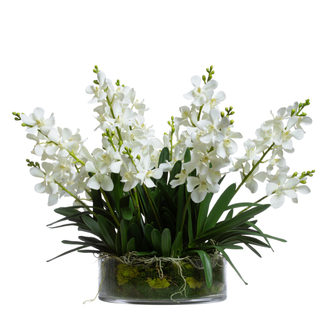 White artificial vanda orchids in a glass vase with green foliage and moss