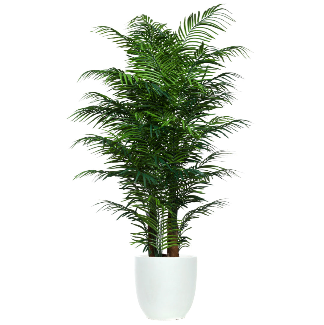 Artificial areca palm plant in a white pot, realistic green fronds against white background