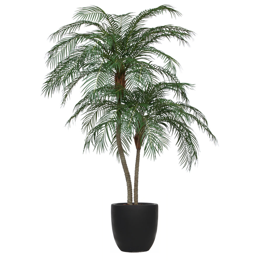 Artificial Phoenix palm tree in black planter with realistic green fronds against white background