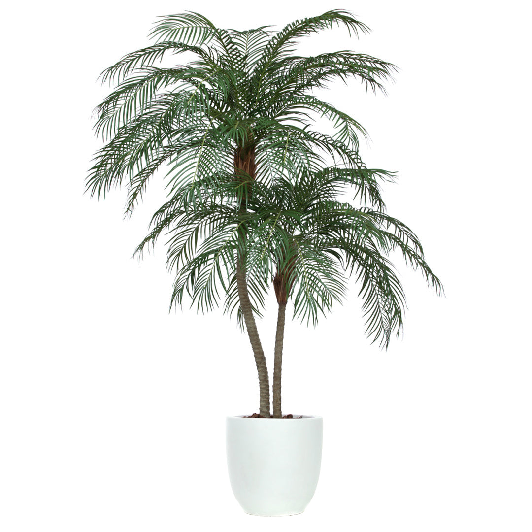 Artificial Phoenix palm plant with realistic green fronds in a white pot, isolated on white