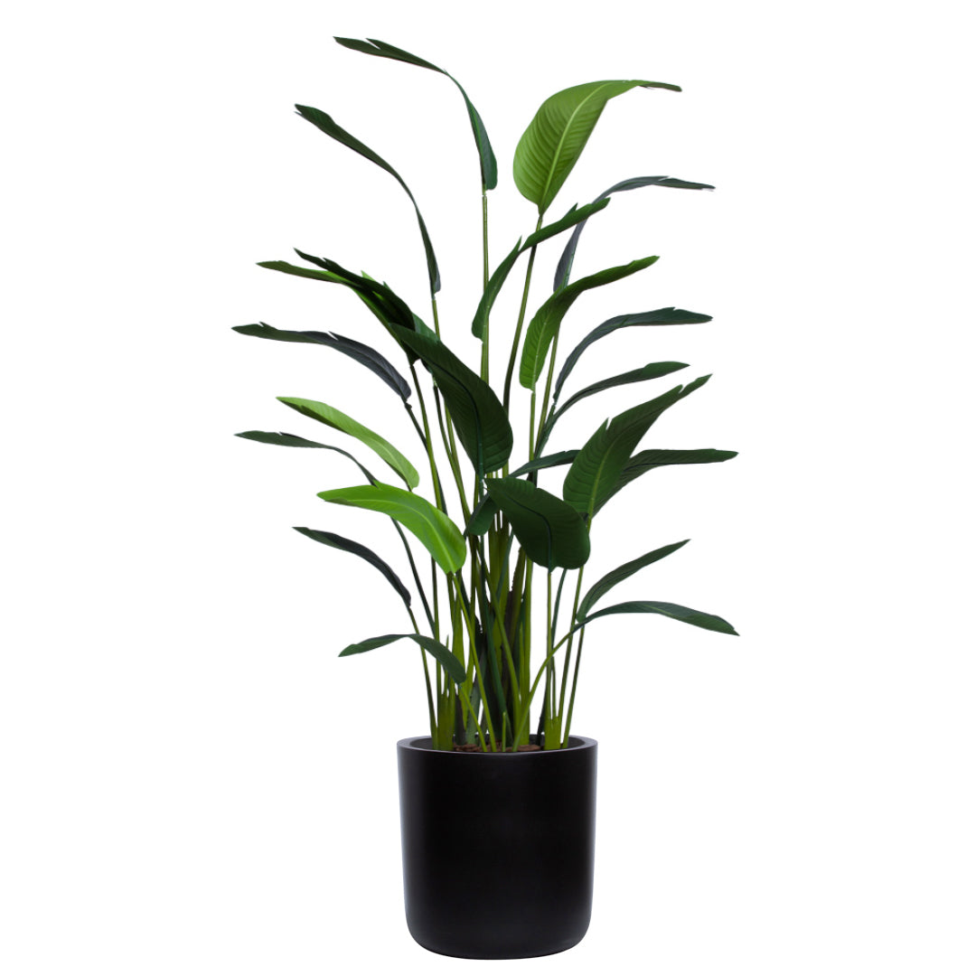 Artificial palm plant with green leaves in a modern black pot on white background
