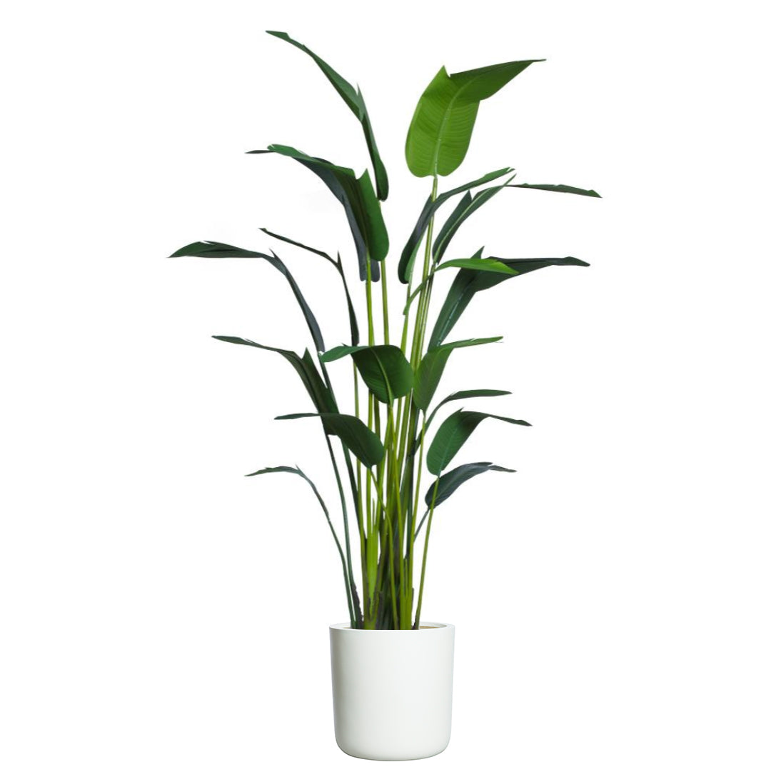 Artificial palm tree in a white planter with realistic green leaves on white background