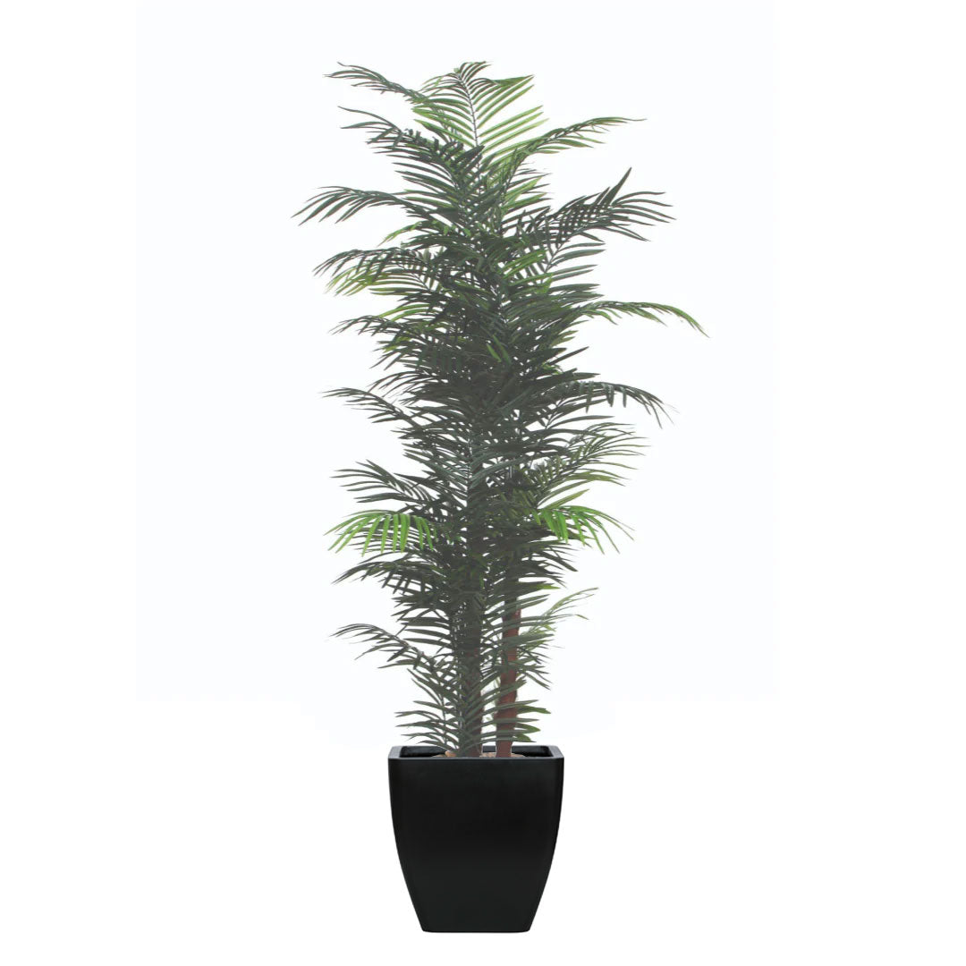 Artificial areca palm plant in a modern black square planter, isolated on white background.