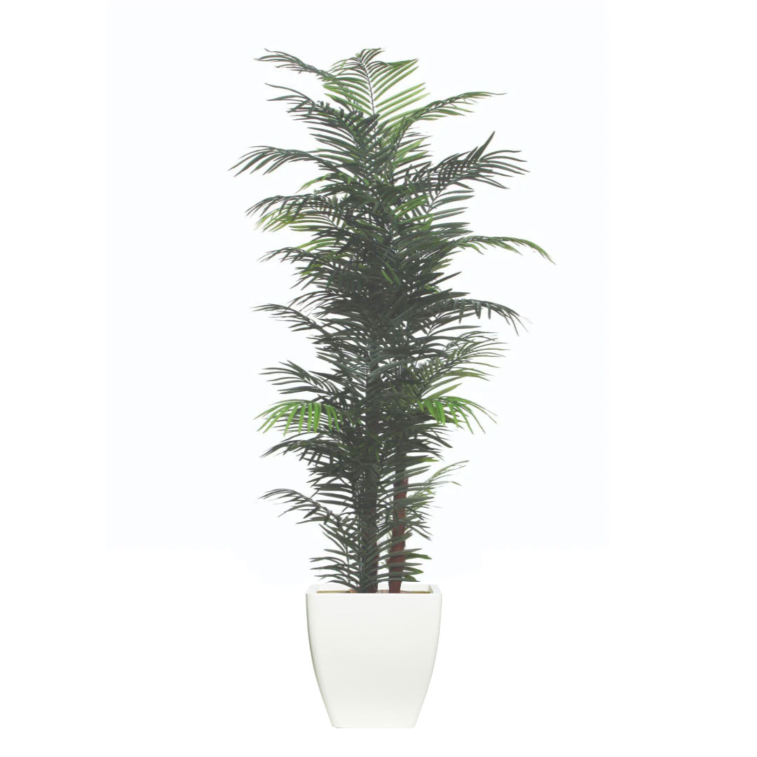 Artificial areca palm tree in a modern white square planter on a white background
