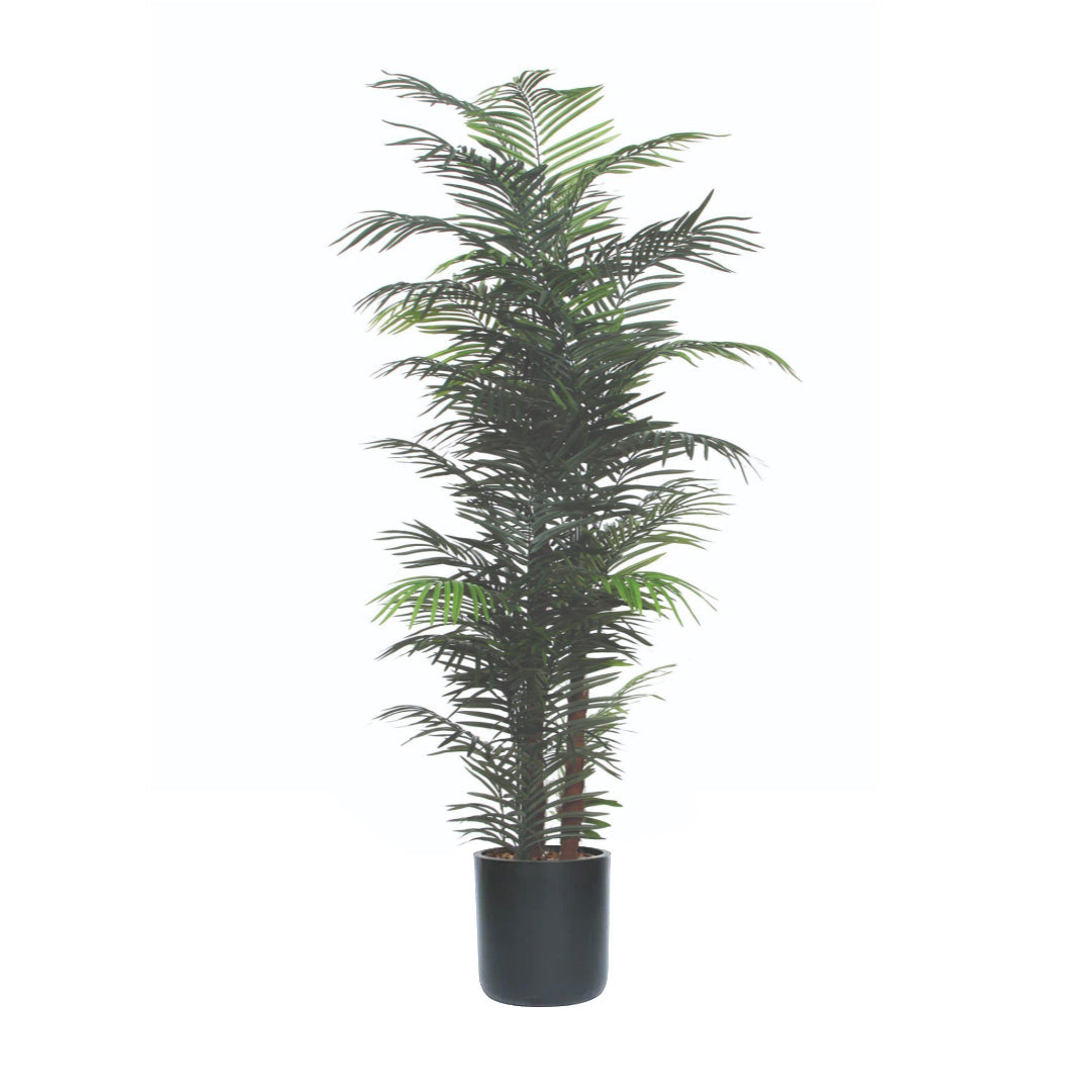 Artificial areca palm tree in a black planter, realistic green foliage, white background