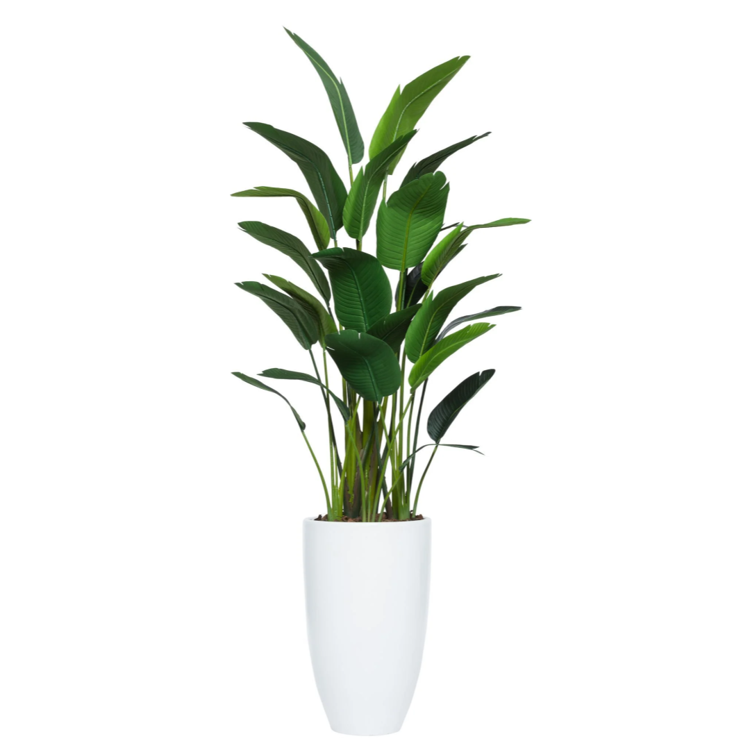 Tall artificial palm plant in a modern white planter, realistic green leaves, studio background