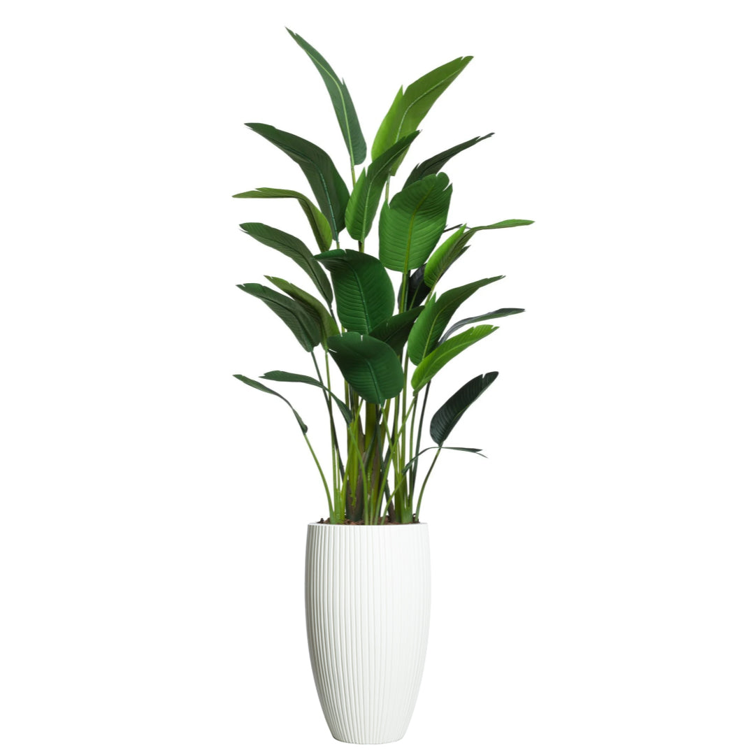Artificial tropical plant with broad green leaves in tall white ribbed planter