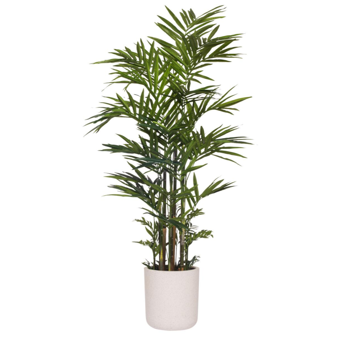 Artificial Kentia palm tree in a white planter with realistic green fronds