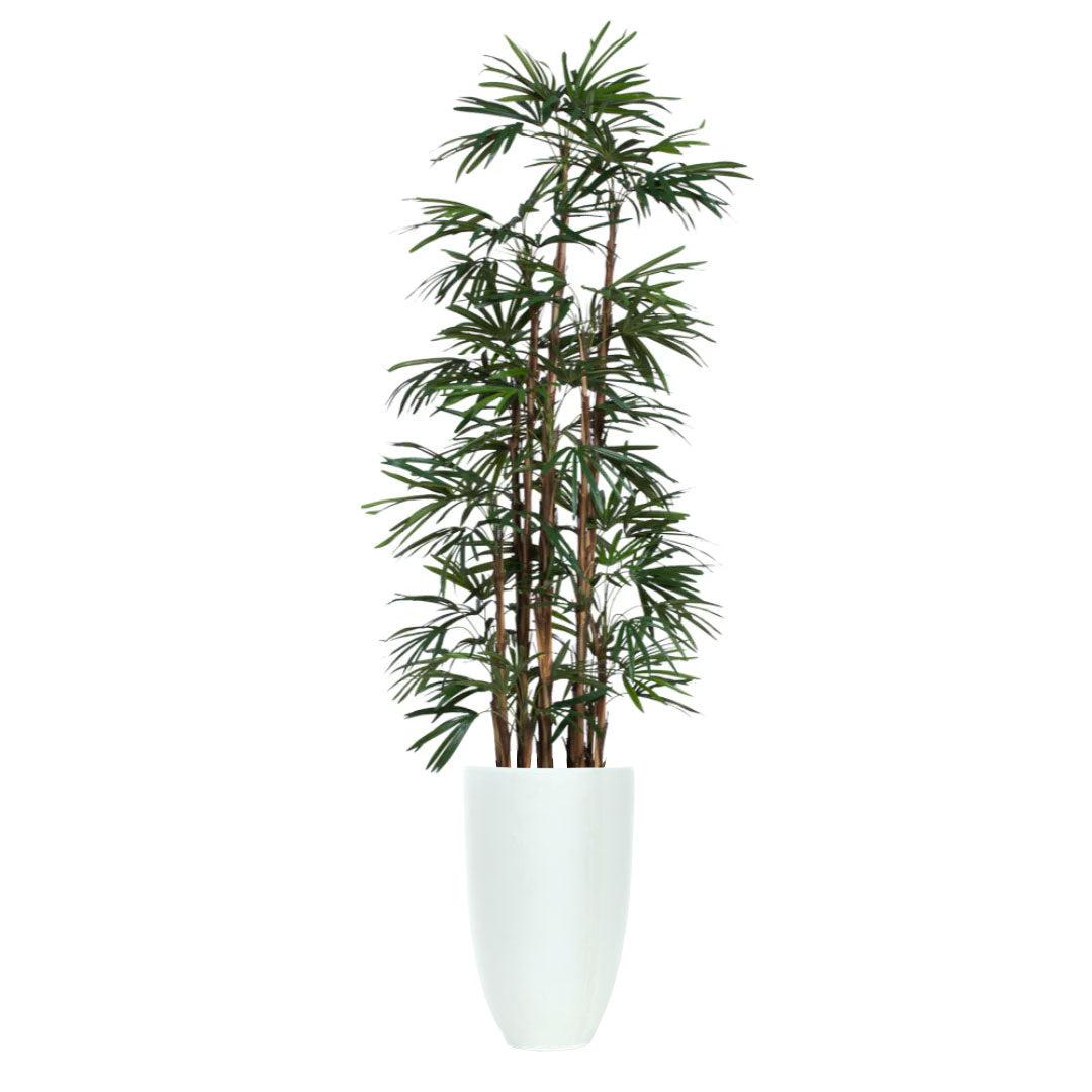 Tall artificial lady finger palm plant with slender green leaves in a white smooth planter