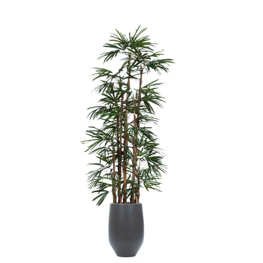 Artificial palm plant with slender green leaves in a tall black tapered planter