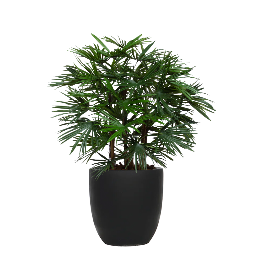 Artificial raphis palm plant in a black tapered pot, lifelike green foliage
