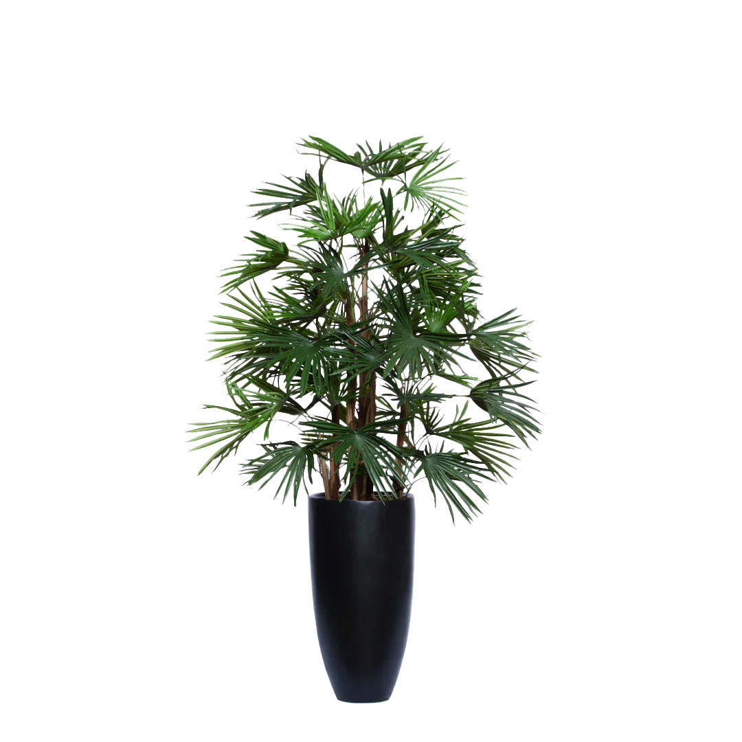 Artificial raphis palm plant with lush green leaves in a tall black smooth planter