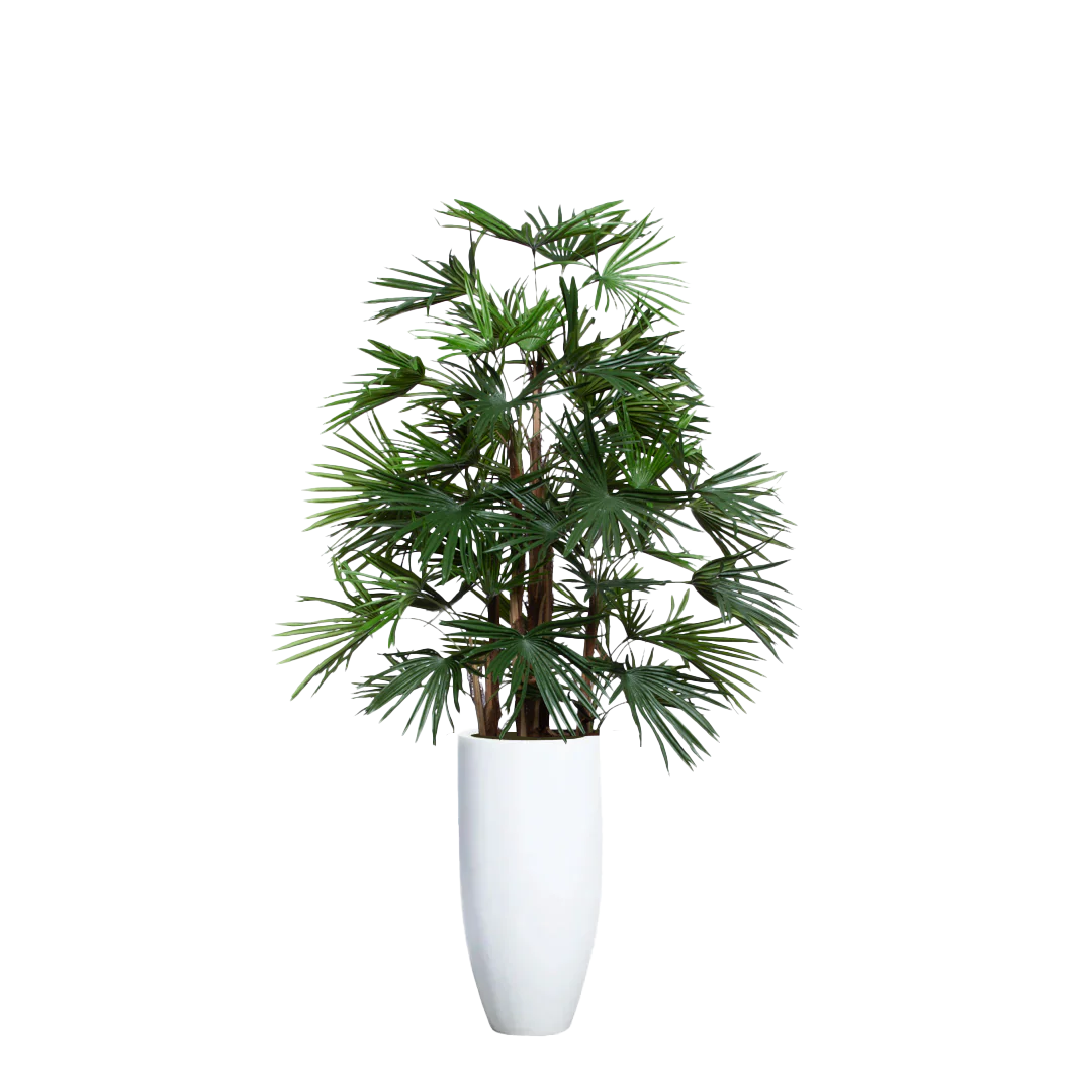 Artificial Raphis palm tree in a tall white planter, realistic green foliage, indoor decor