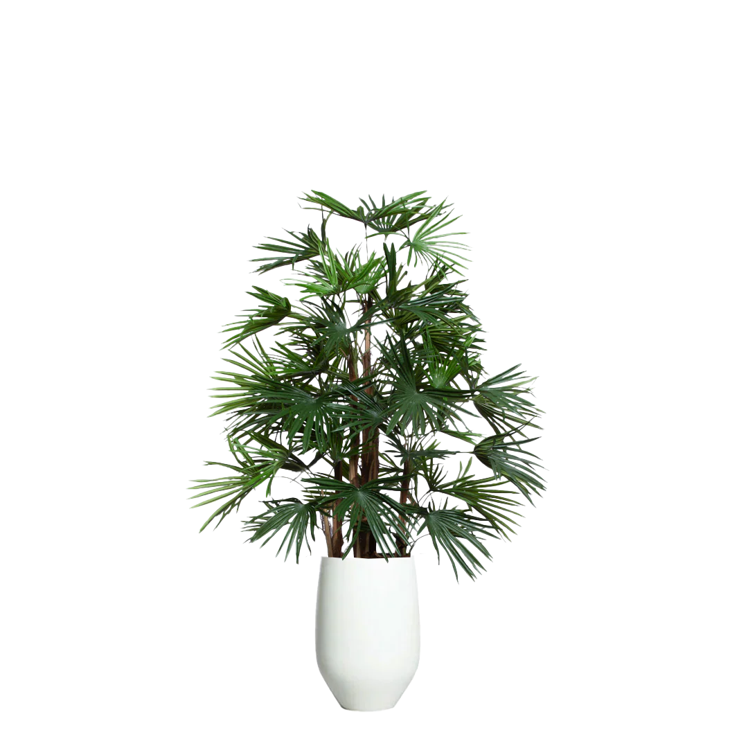 Artificial palm raphis plant with green leaves in a white tapered pot on white background