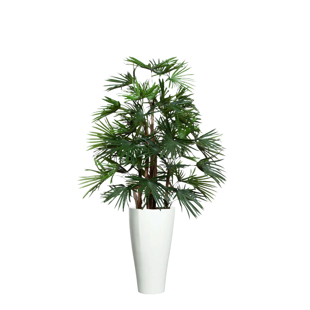 Artificial raphis palm tree in a tall modern white planter, realistic green foliage