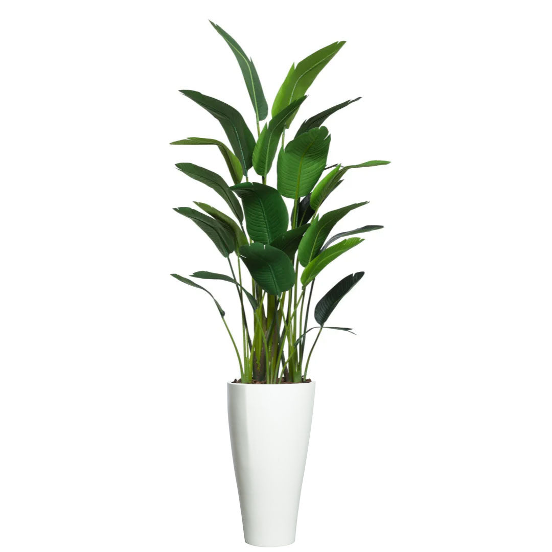 Tall artificial tropical plant with broad green leaves in a modern white planter